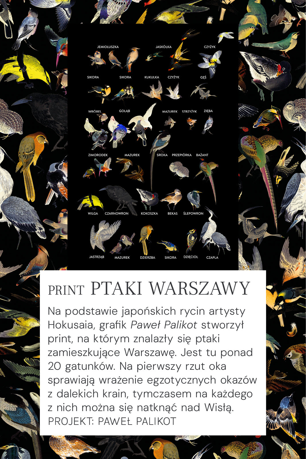 Print Ptaki Warszawy – kolorowy wzór z ponad 20 gatunkami ptaków, inspirowany japońskimi rycinami, idealny dla modnych sukienek i ubrań.