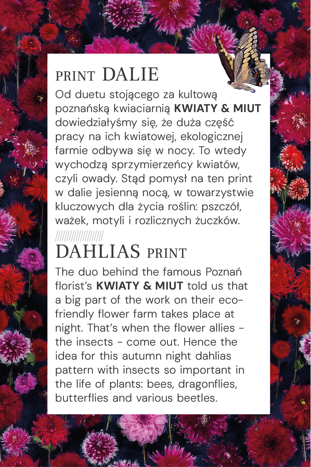 Sukienka DREAMGIRL z długim rękawem print dalie