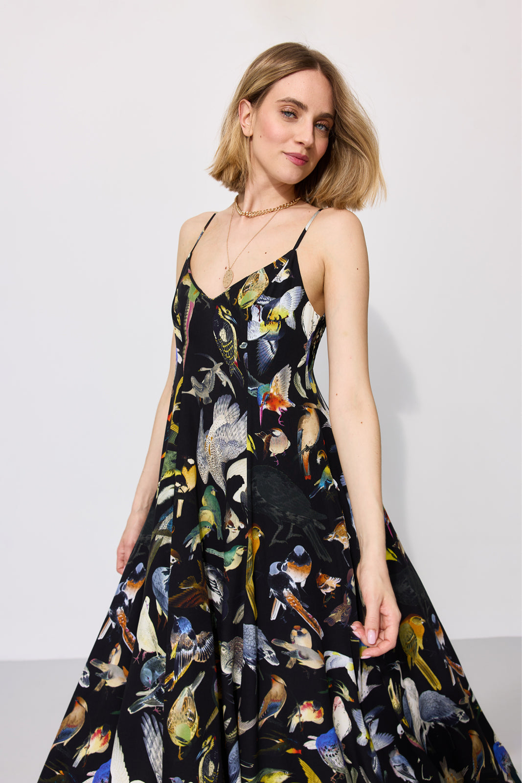 Dress ALL NIGHT LONG Warsaw Birds print