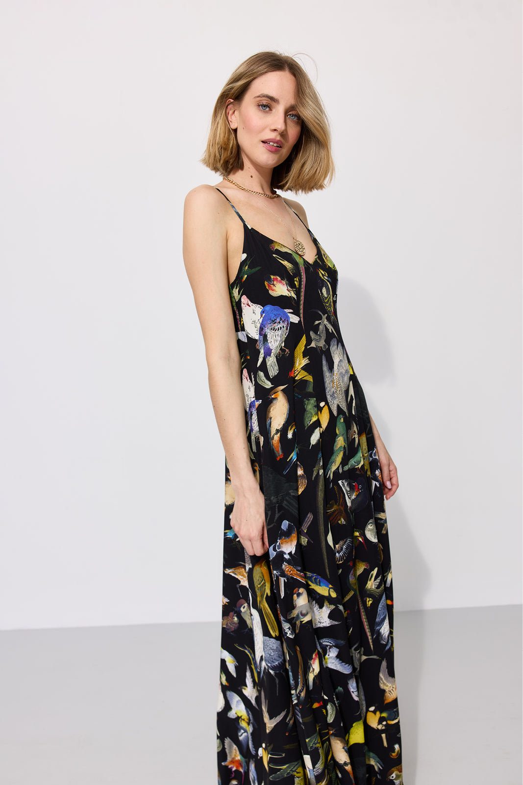 Dress ALL NIGHT LONG Warsaw Birds print