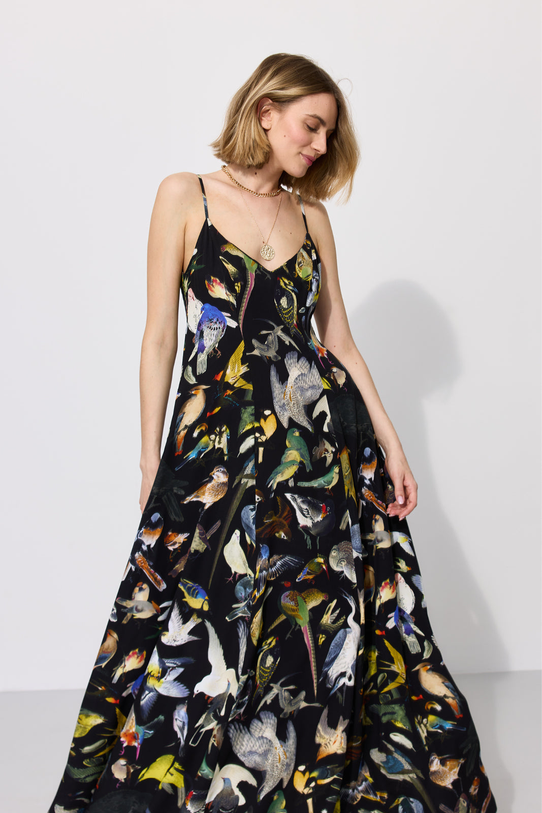 Dress ALL NIGHT LONG Warsaw Birds print