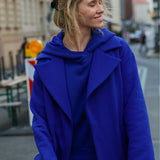 REVOLUTIONARY COAT art blue