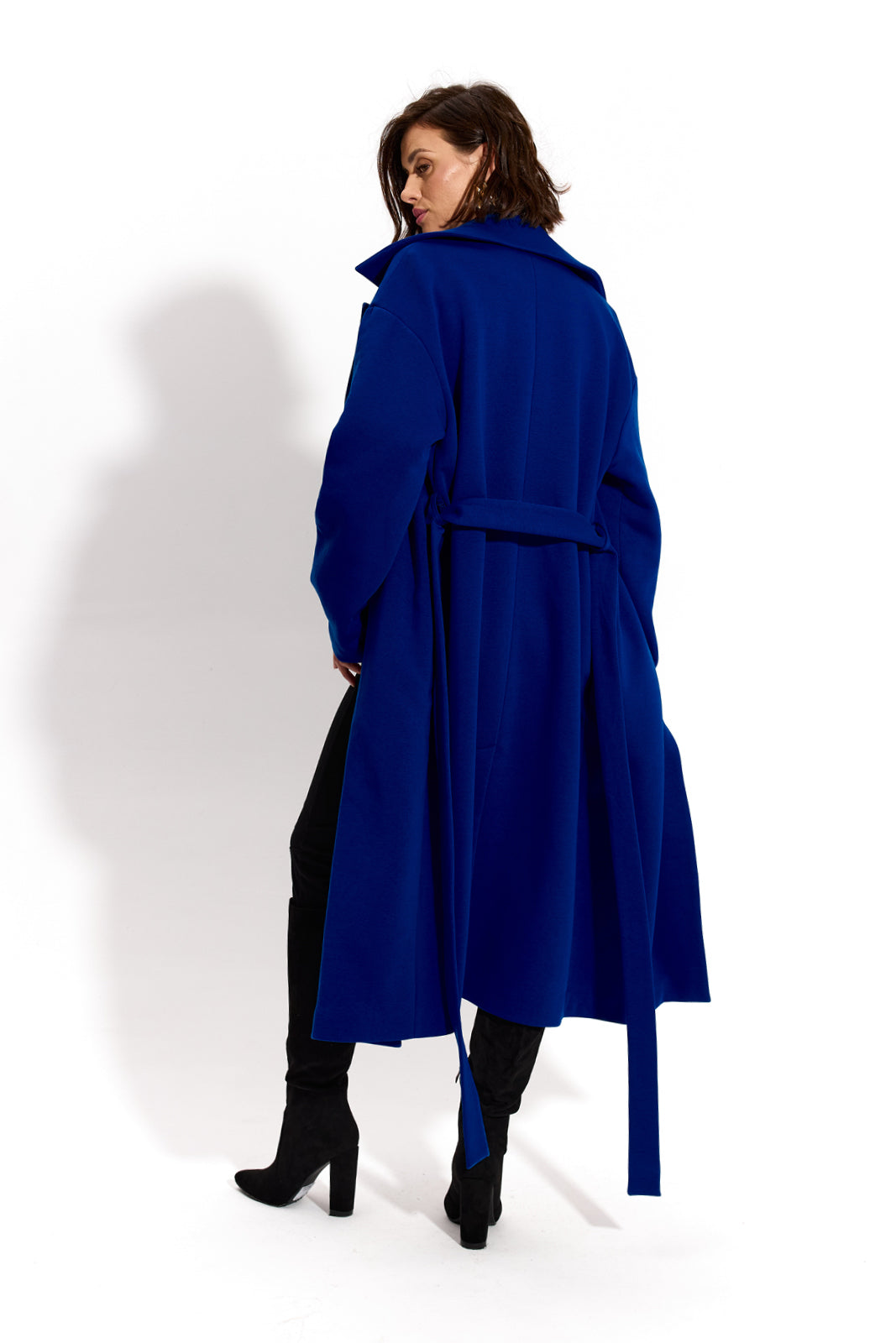 REVOLUTIONARY COAT art blue