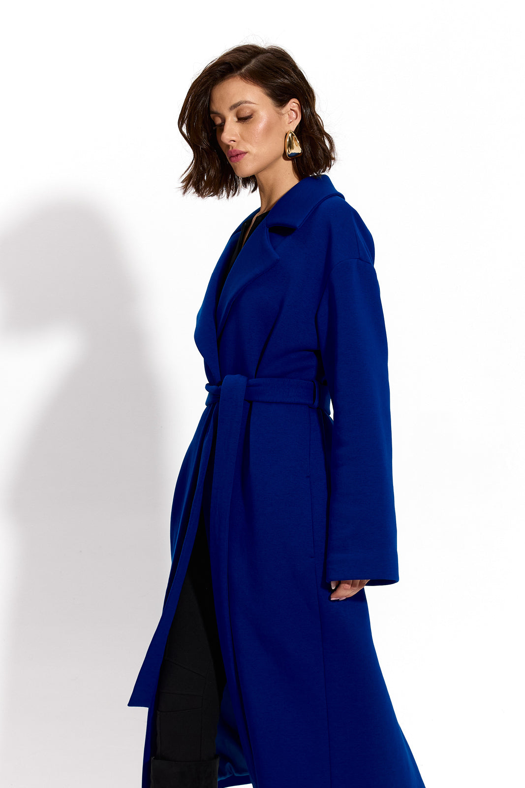 REVOLUTIONARY COAT art blue