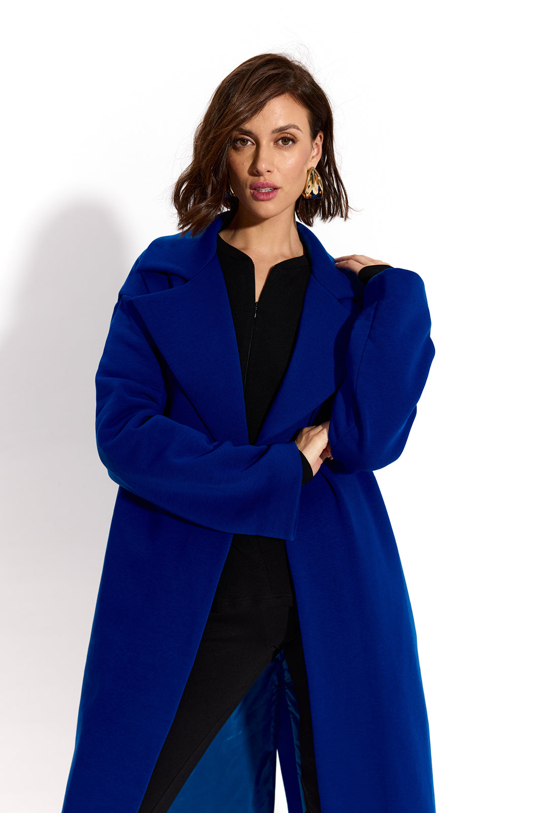 REVOLUTIONARY COAT art blue