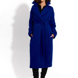 REVOLUTIONARY COAT art blue