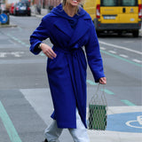 REVOLUTIONARY COAT art blue