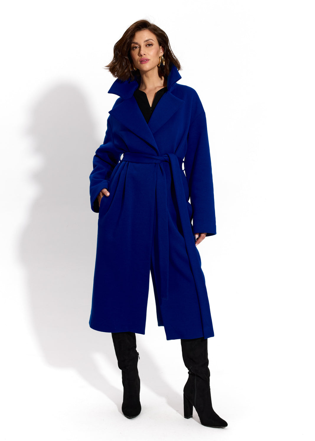 REVOLUTIONARY COAT art blue