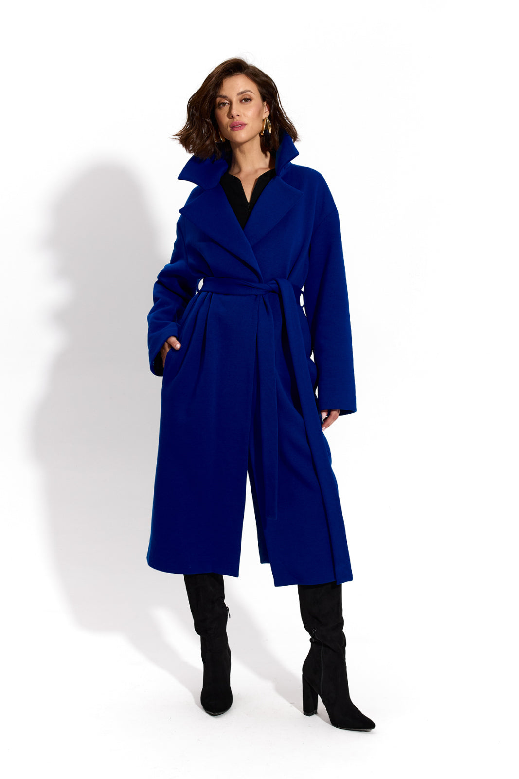 REVOLUTIONARY COAT art blue