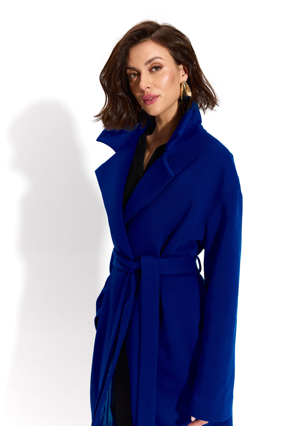REVOLUTIONARY COAT art blue