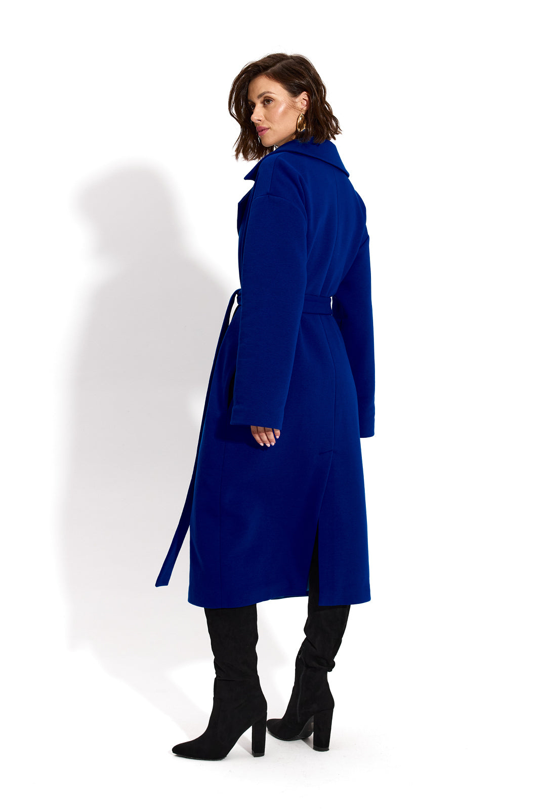 REVOLUTIONARY COAT art blue