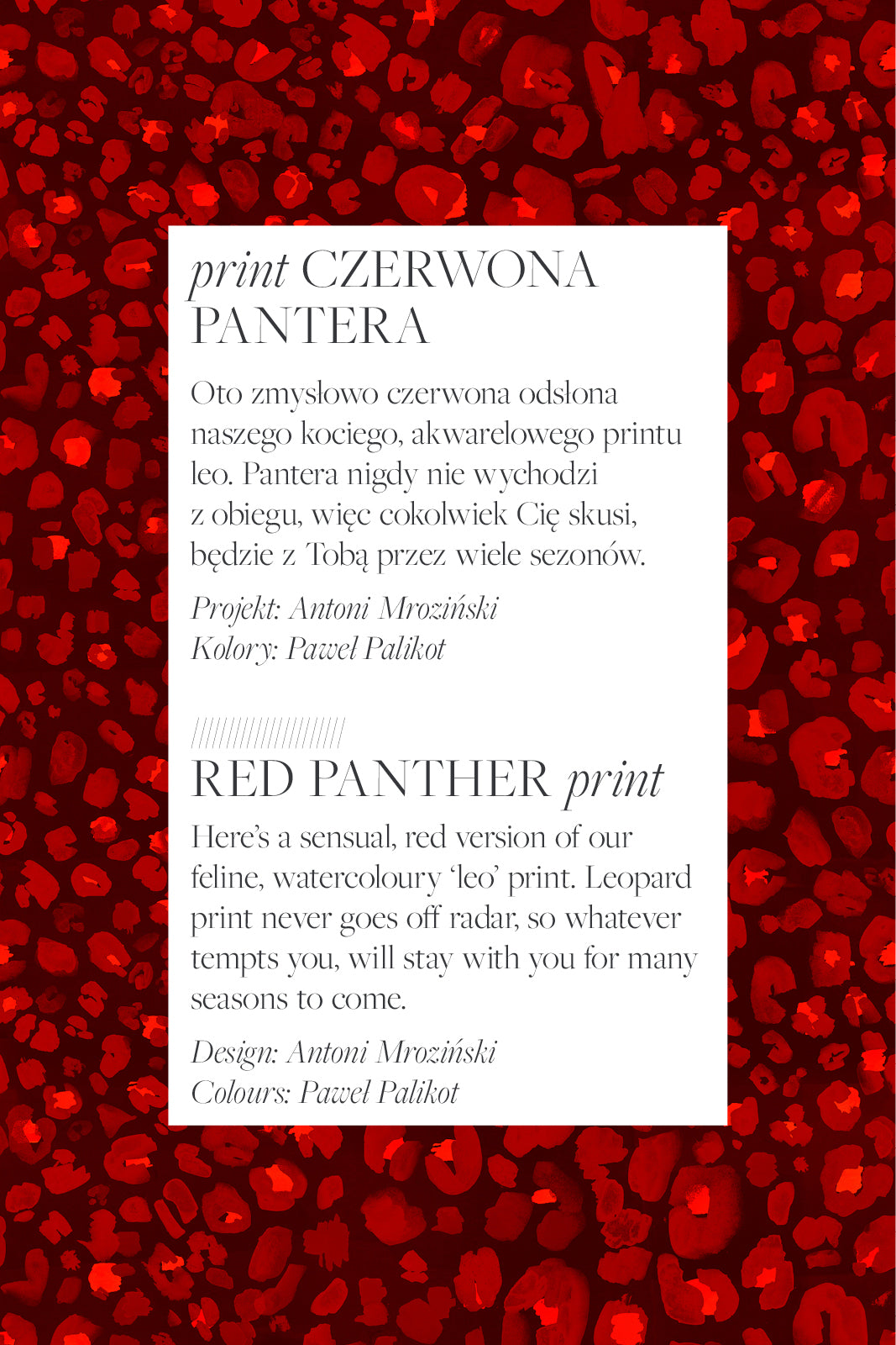 BOGINI PRZED KOLANO print czerwona pantera