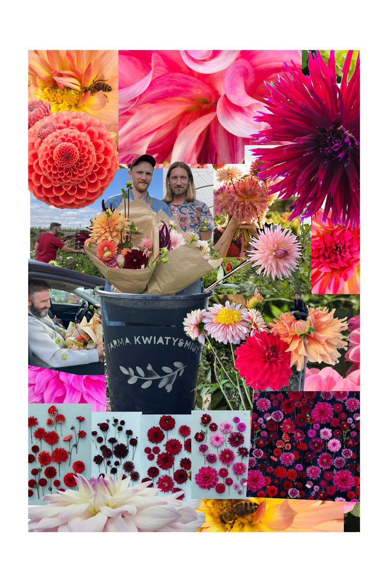 BEST FRIENDS dahlias print