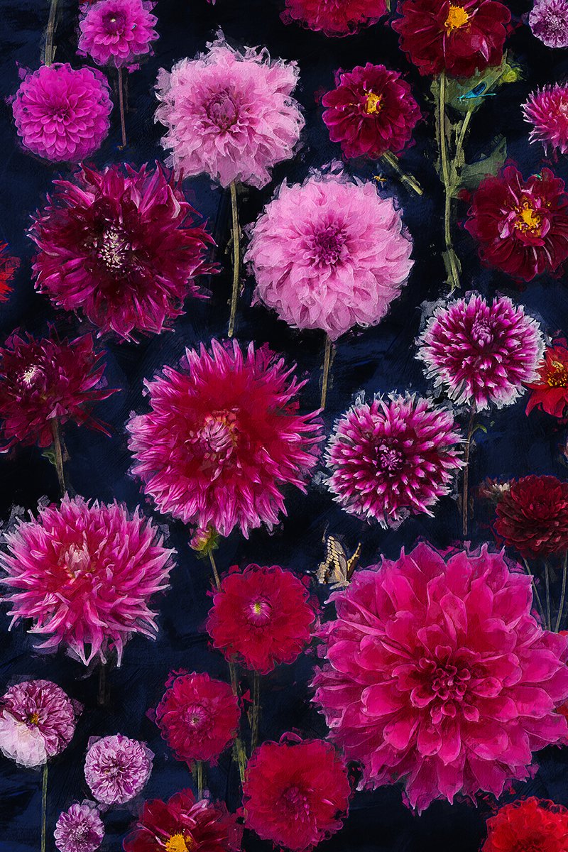PRIMA BALLERINA dahlias print