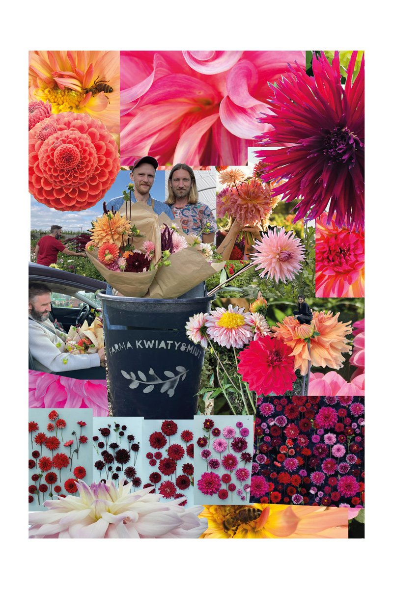 LET'S GOLF dahlias print