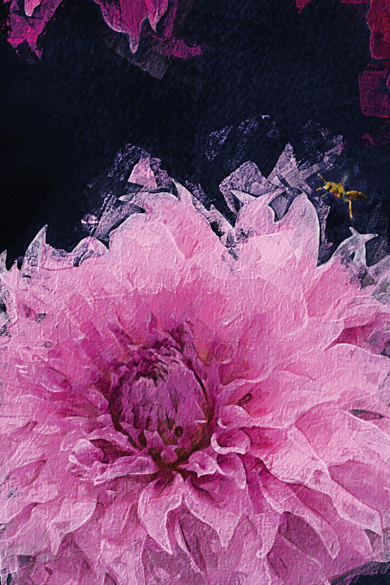 LUCY IN THE SKY dahlias print