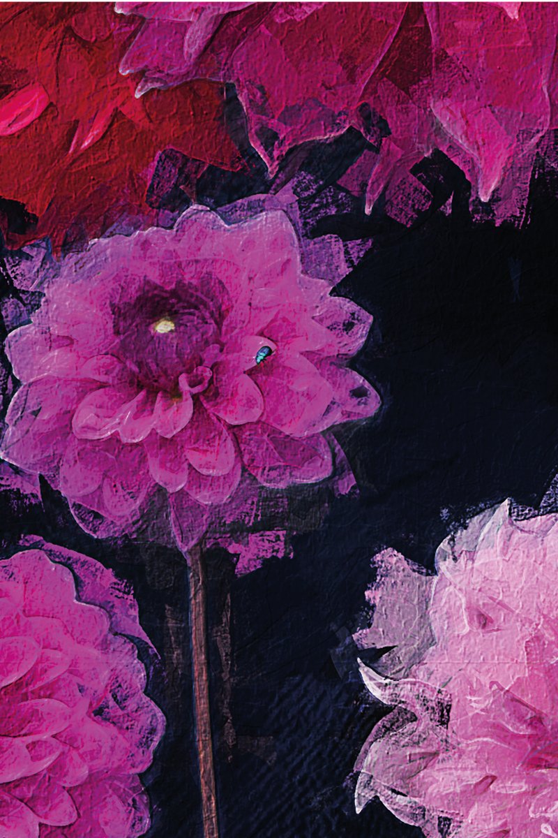 OPEN OFFICE dahlias print