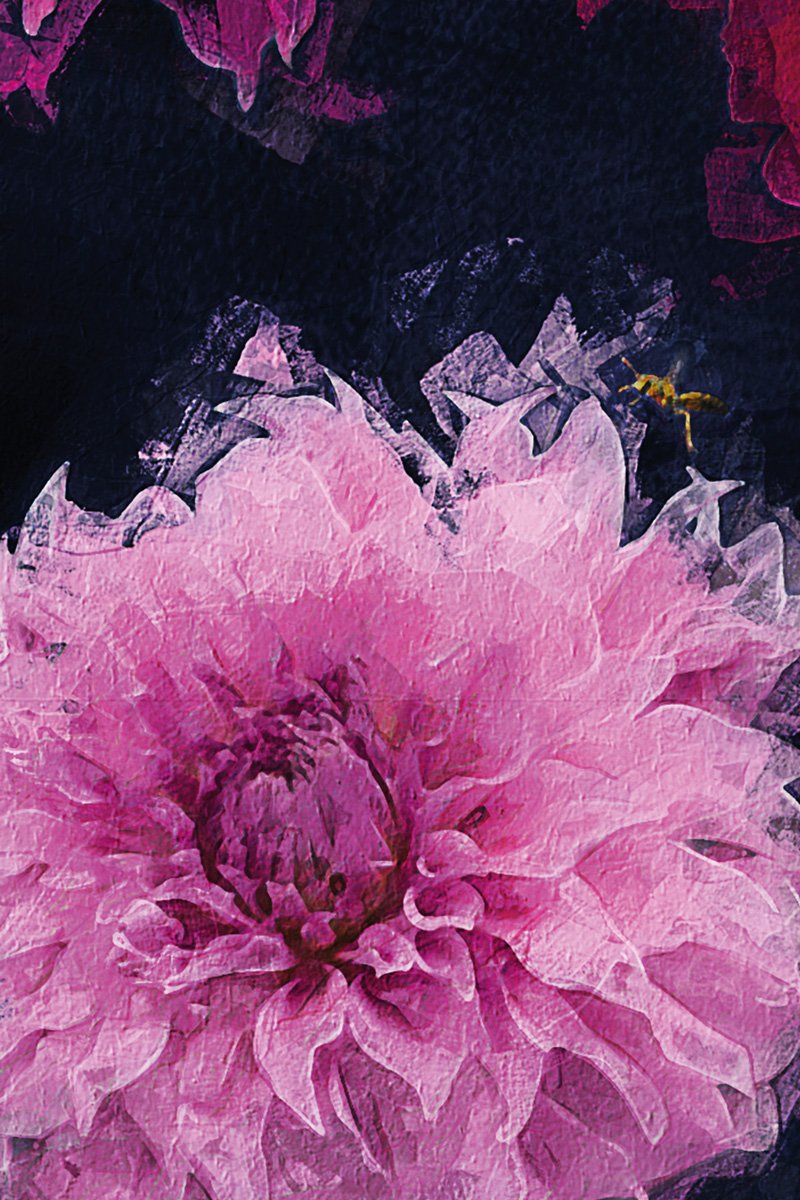 BOHEMA dahlias print