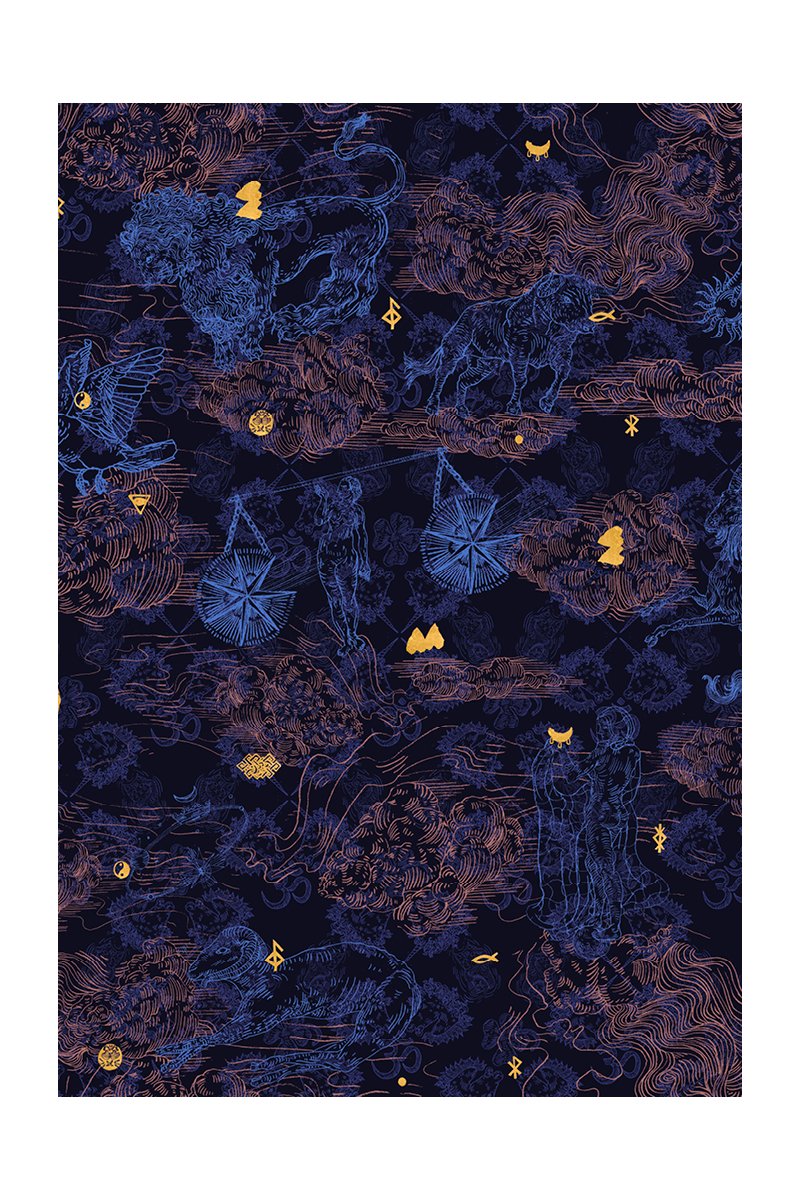 PRIMA BALLERINA print wish you luck night blue