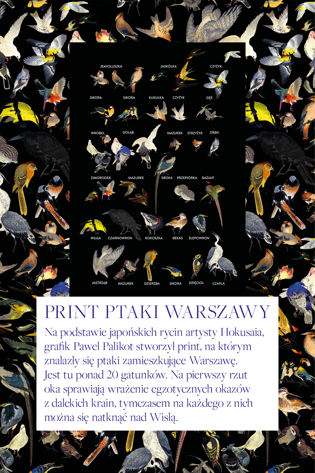 LIFE'S A STAGE birds of Warsaw print