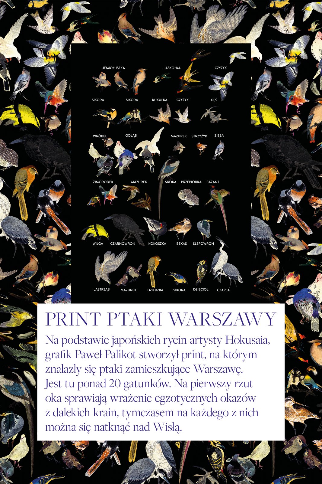 DREAMGIRL z długim rękawem print ptaki Warszawy