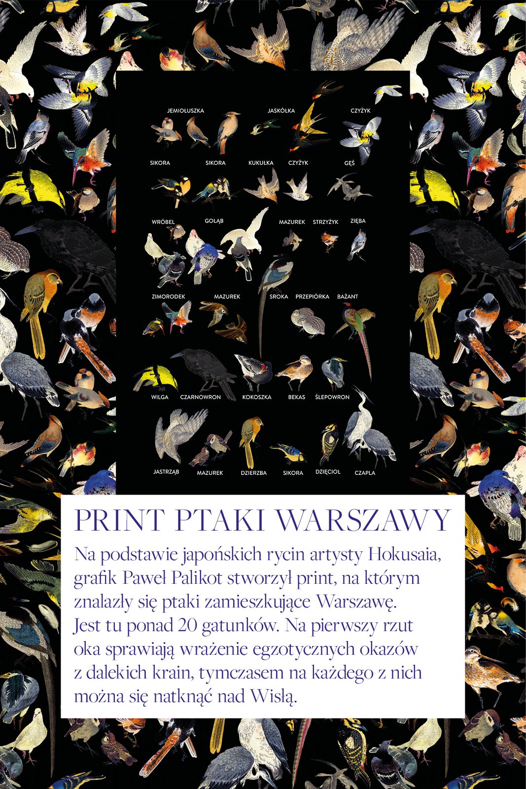 DREAMGIRL z długim rękawem print ptaki Warszawy