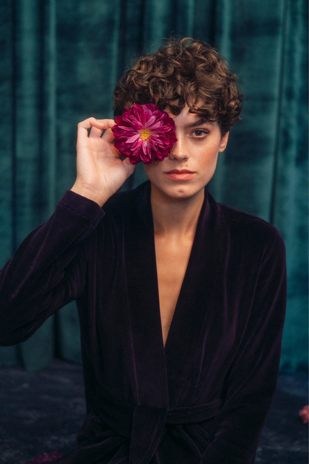 THELMA plum velvet