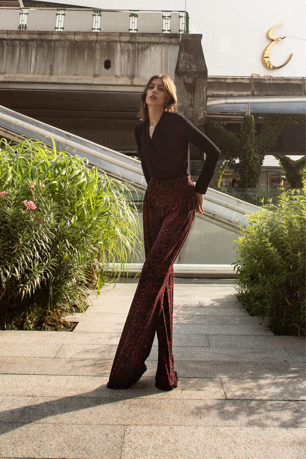 SPRYCIARY print leo red wine