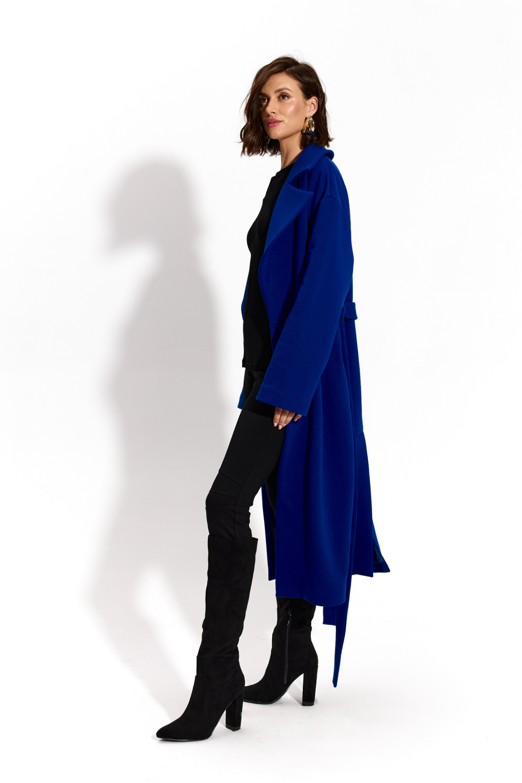 REVOLUTIONARY COAT art blue
