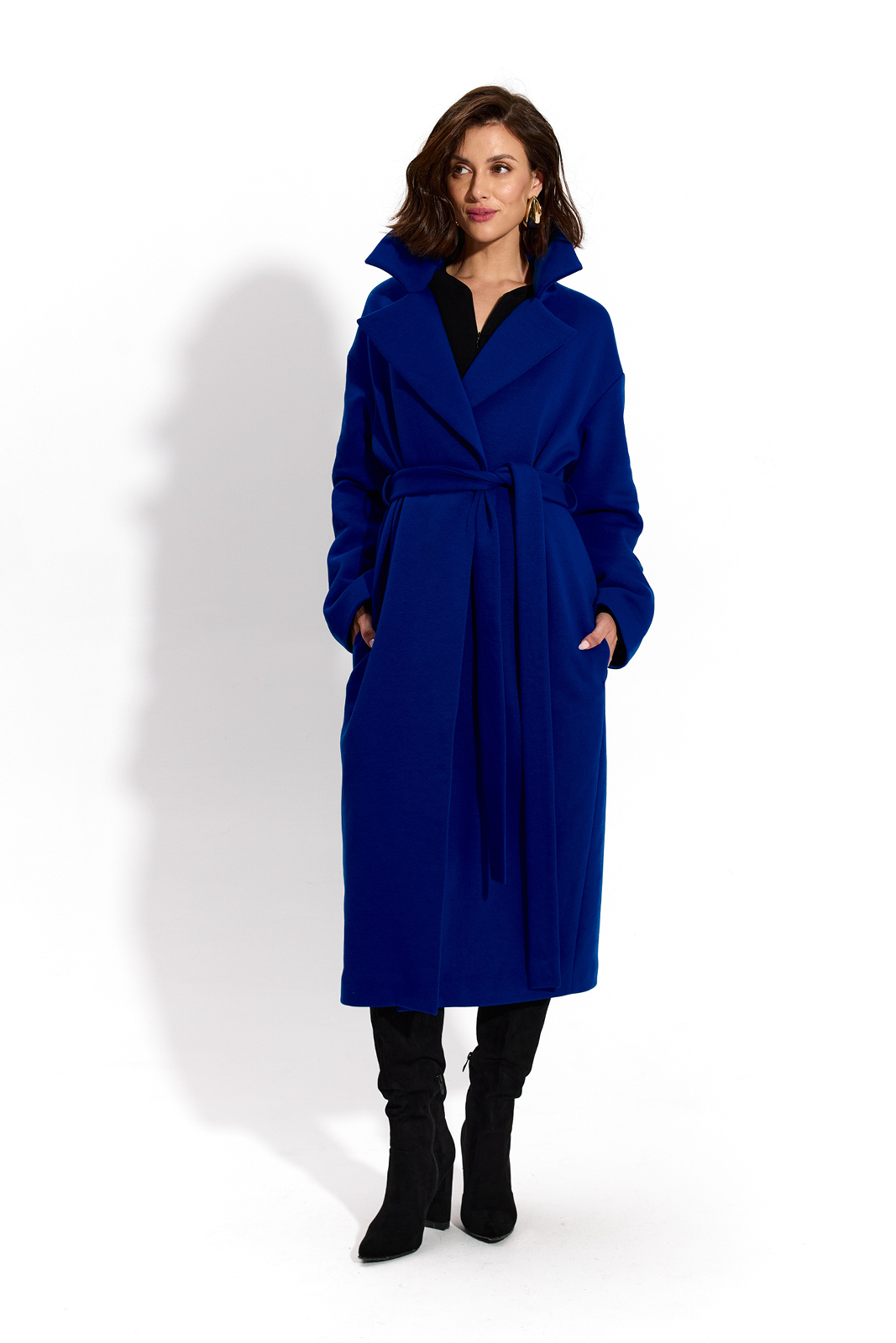REVOLUTIONARY COAT art blue