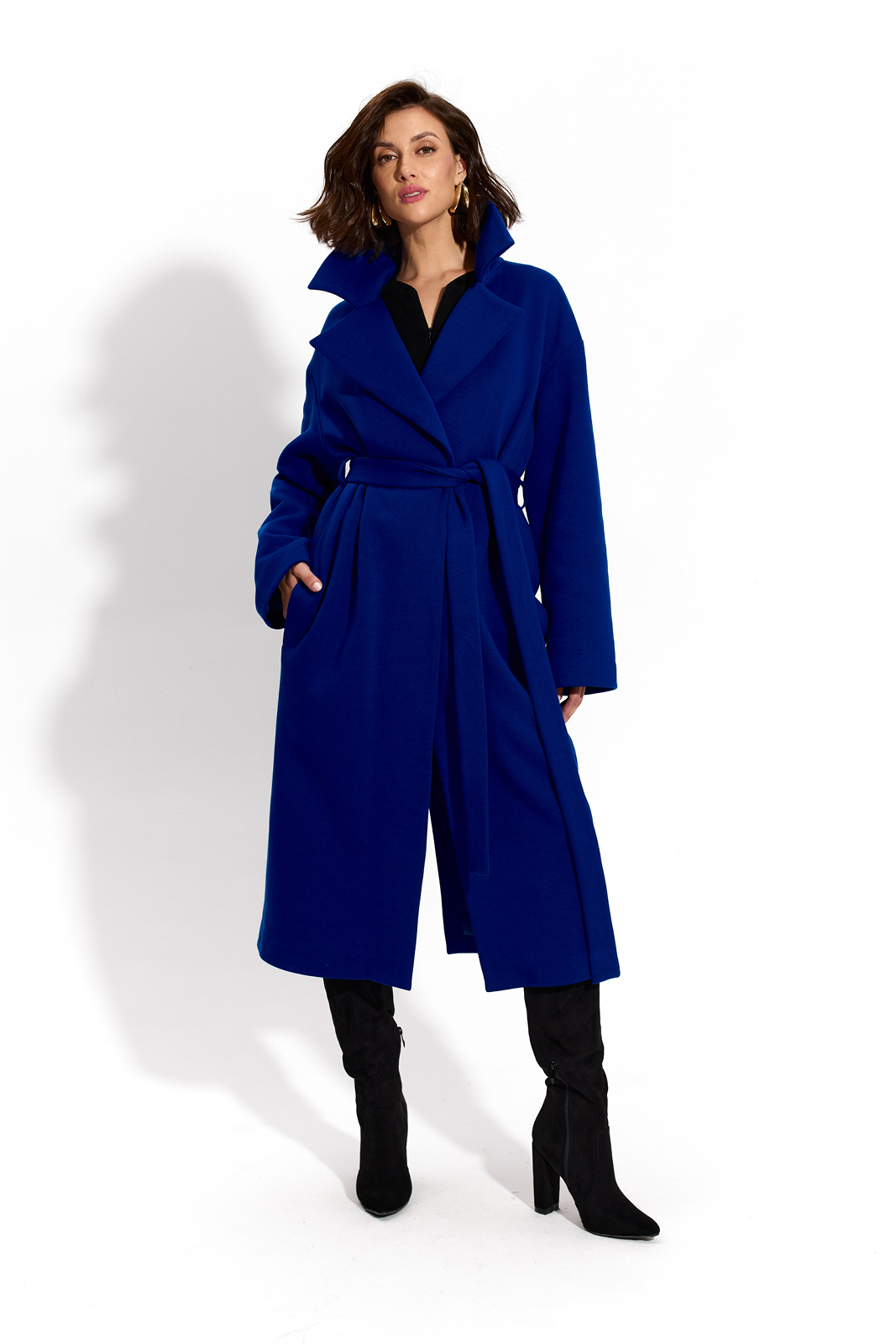 REVOLUTIONARY COAT art blue