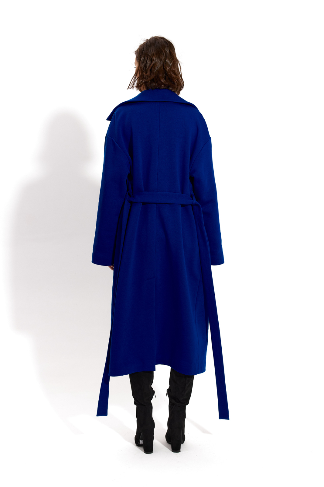 REVOLUTIONARY COAT art blue