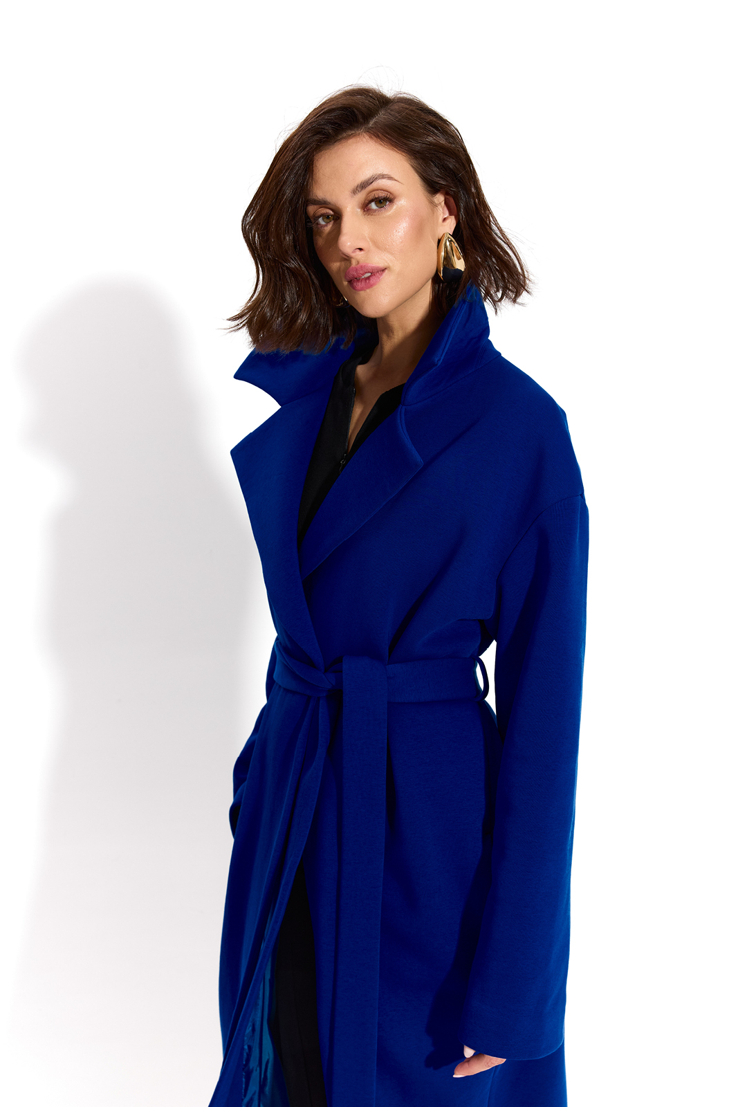 REVOLUTIONARY COAT art blue
