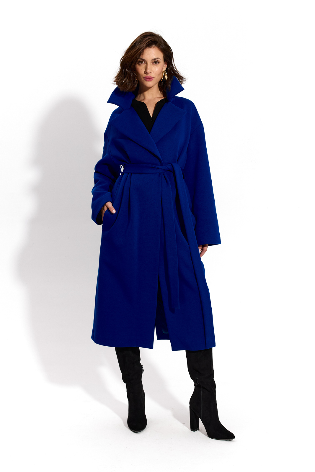 REVOLUTIONARY COAT art blue