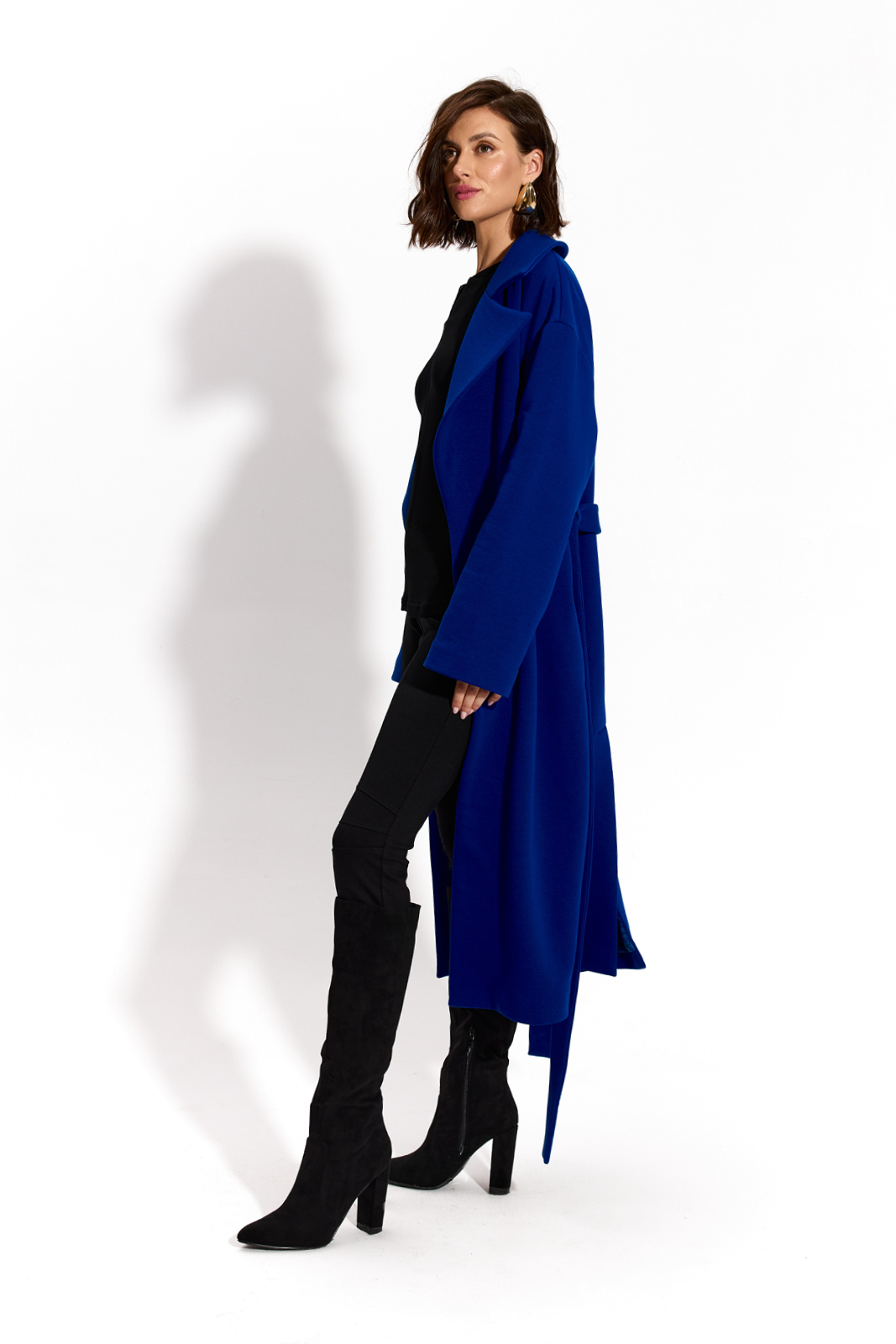 REVOLUTIONARY COAT art blue