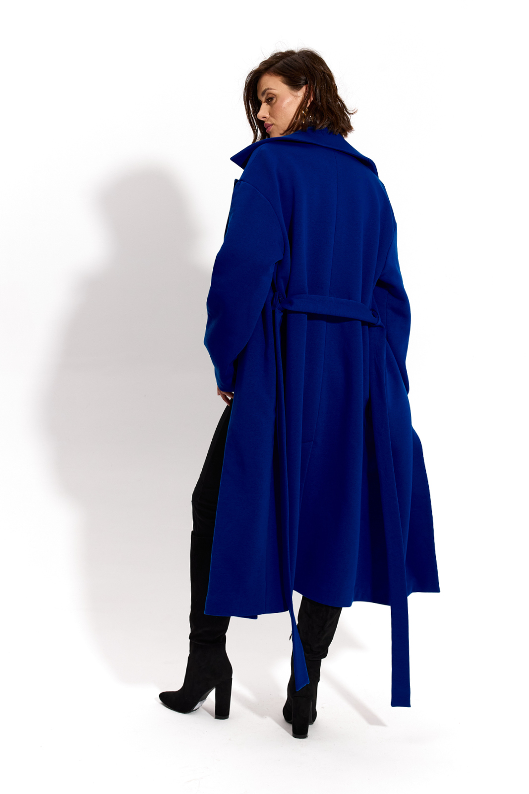 REVOLUTIONARY COAT art blue