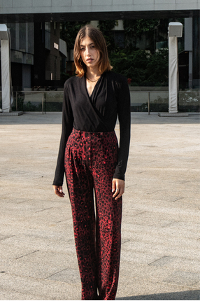 SPRYCIARY print leo red wine