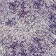 lilac flowers print