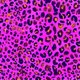 print pink panther